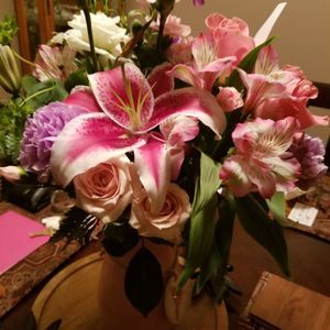 Meet your Posher, Holly